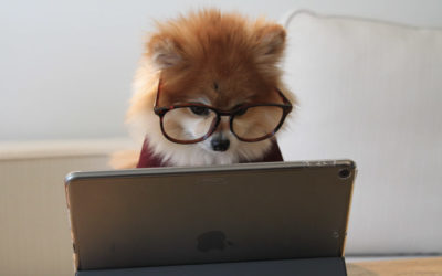Using Grant Management Software in the Pre-award Stage