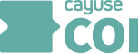 Manage the entire project lifecycle with Cayuse SP