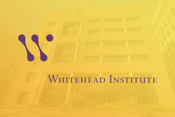 Whitehead Institute