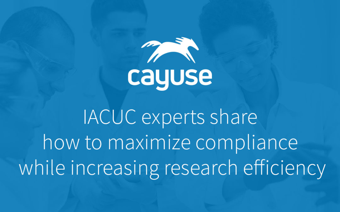 IACUC Experts Share How To Maximize Compliance While Increasing Research Efficiency