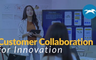 Customer Collaboration for Innovation