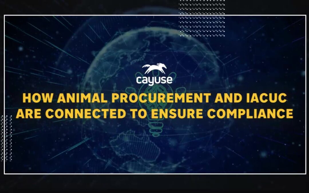 How Animal Procurement and IACUC are Connected to Ensure Compliance