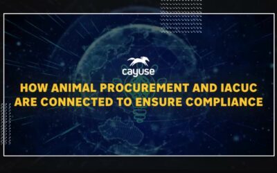 How Animal Procurement and IACUC are Connected to Ensure Compliance