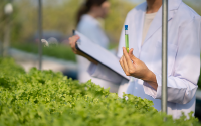 How to Grow Your Research Program: Lessons from Oakland University